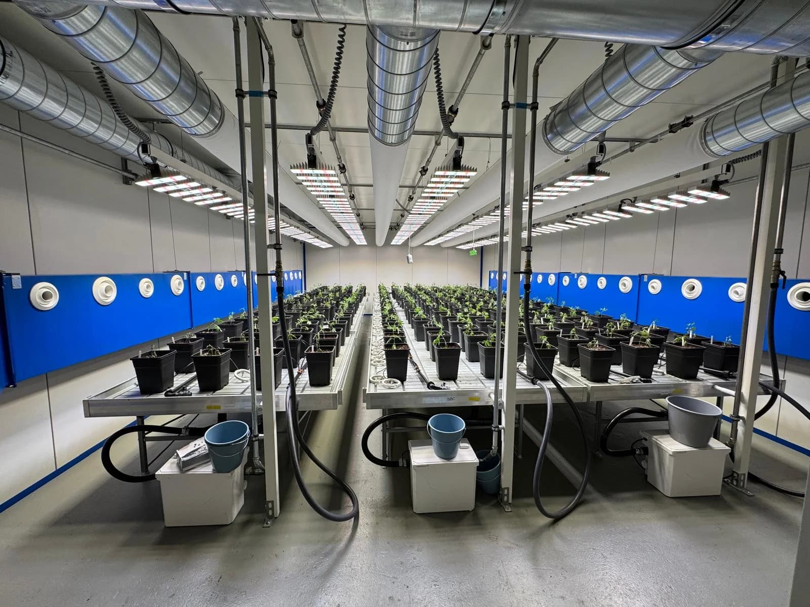 Über uns Sektion Growanlage Bild