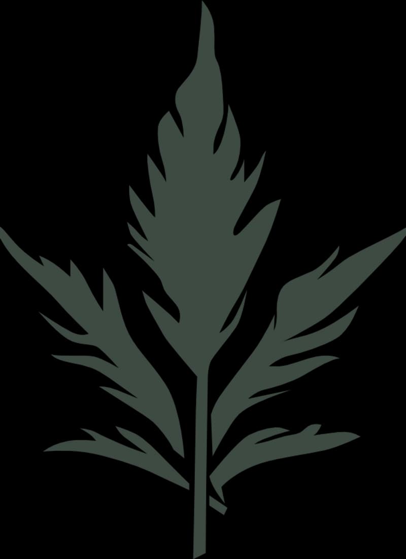 South Side Organics e.V.